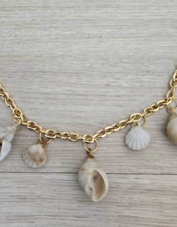 imagem Penduricalho Conchas